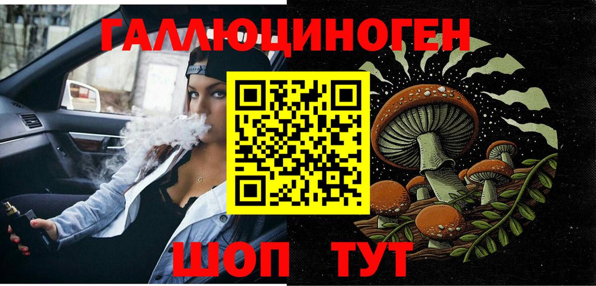Псилоцибиновые грибы GOLDEN TEACHER  Вход с VPN  Псилоцибиновые грибы мухоморы  Каменка 