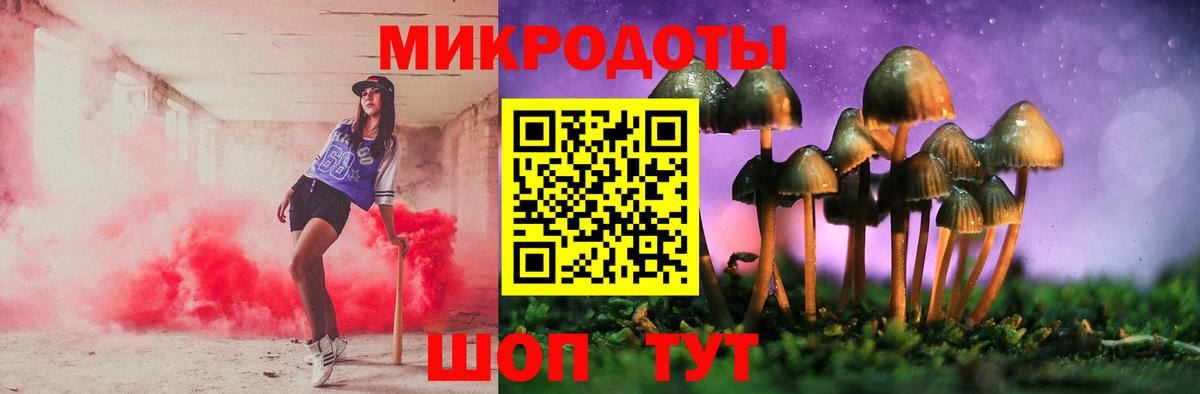 Псилоцибиновые грибы Magic Shrooms Каменка